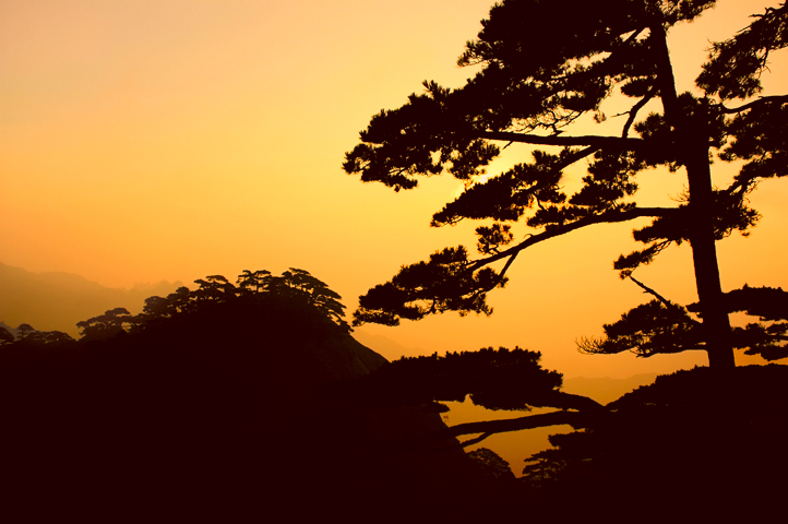 Yellow Mountain 12  