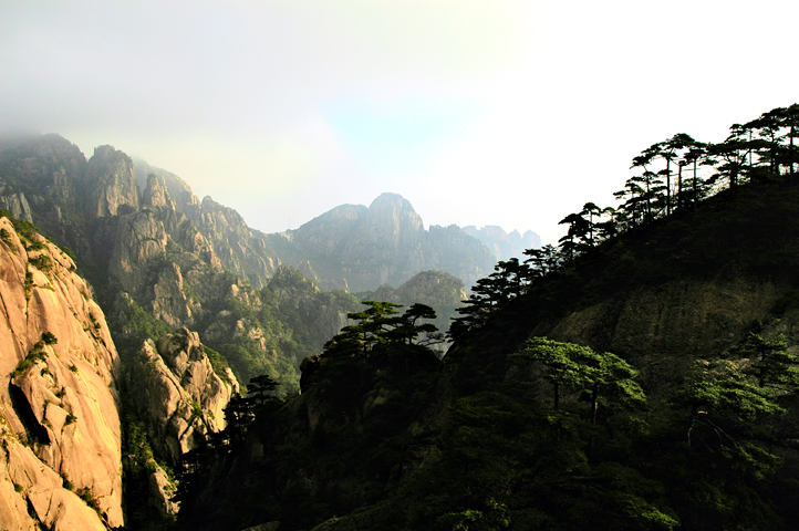 Yellow Mountain 41