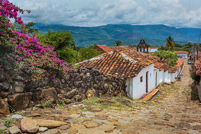Guane 01