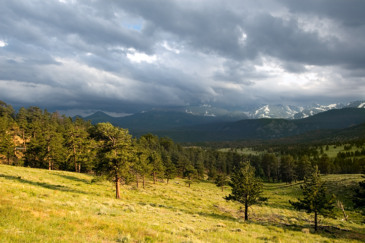 Beaver Meadows, Rocky Mountain National Park