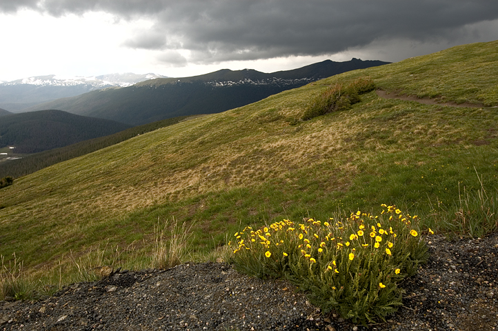 Gore Range, Trail Ridge Road, Rocky Mountain National Park