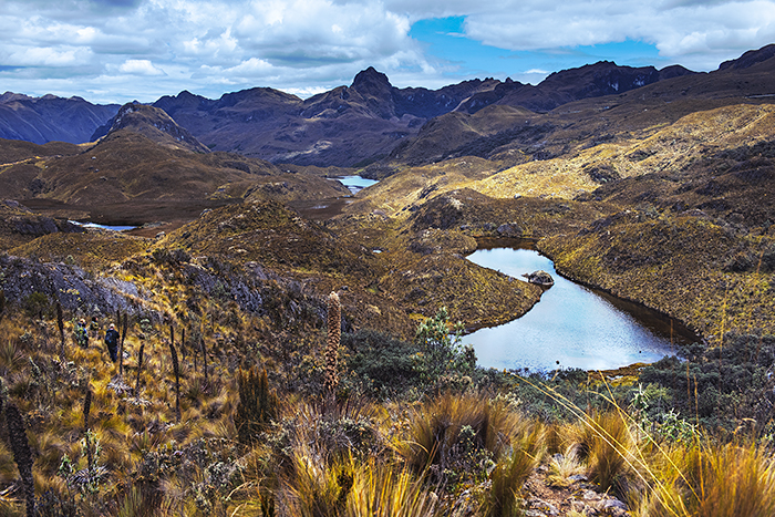 Cajas National Park 01