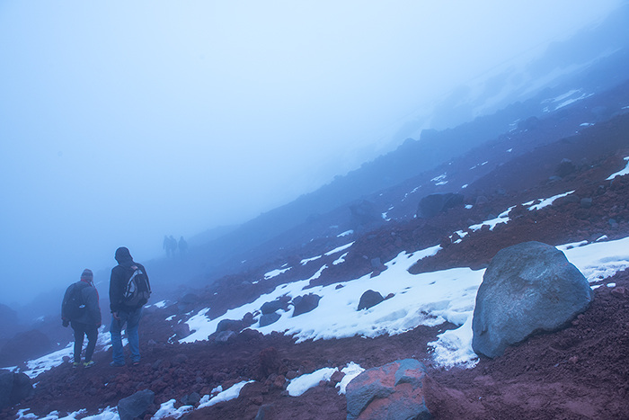 Cotopaxi National Park 04