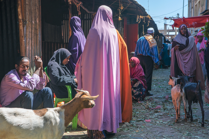 Harar 01