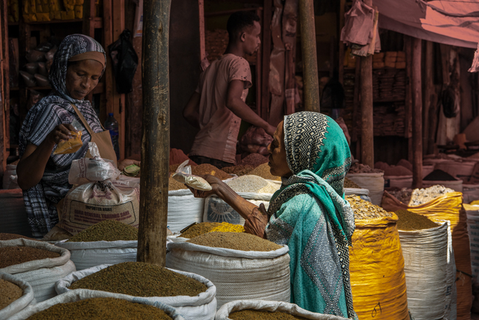 Harar 06