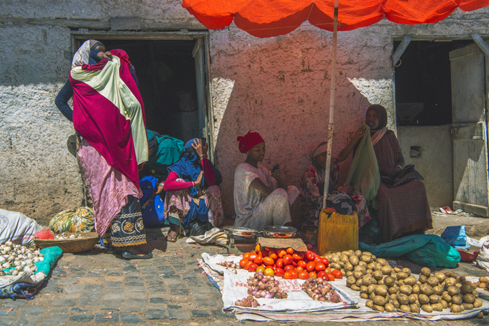 Harar 12