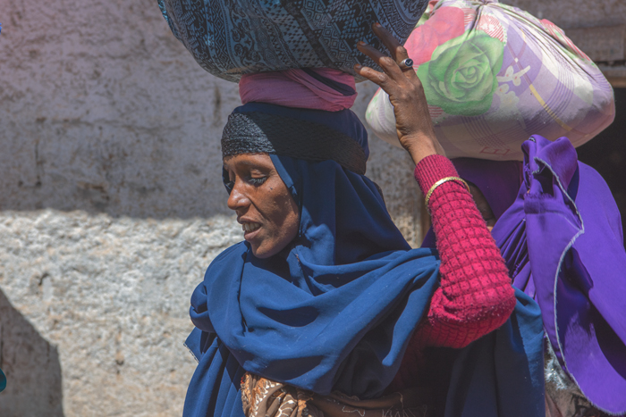 Harar 16