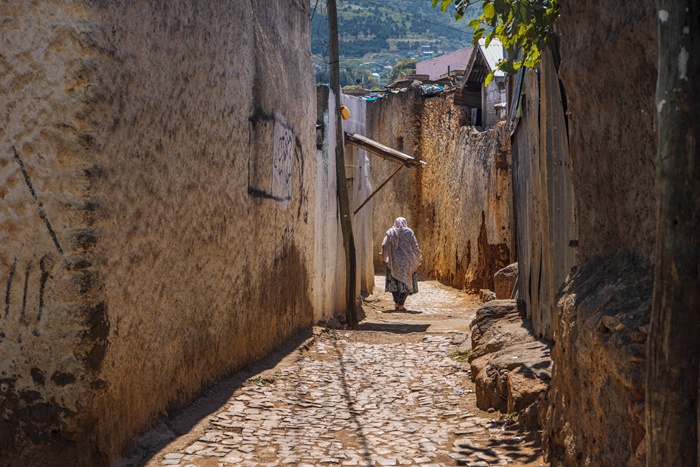Harar 18