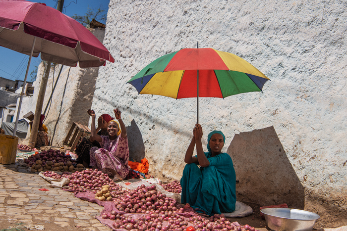 Harar 21
