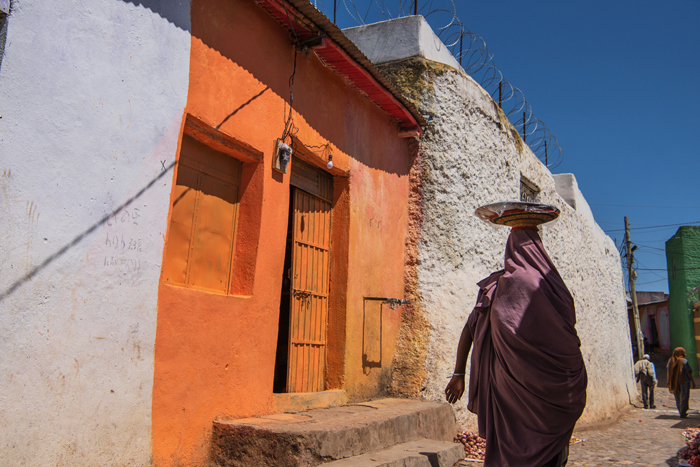 Harar 23