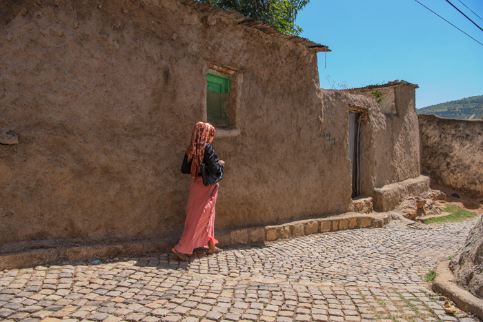 Harar 29