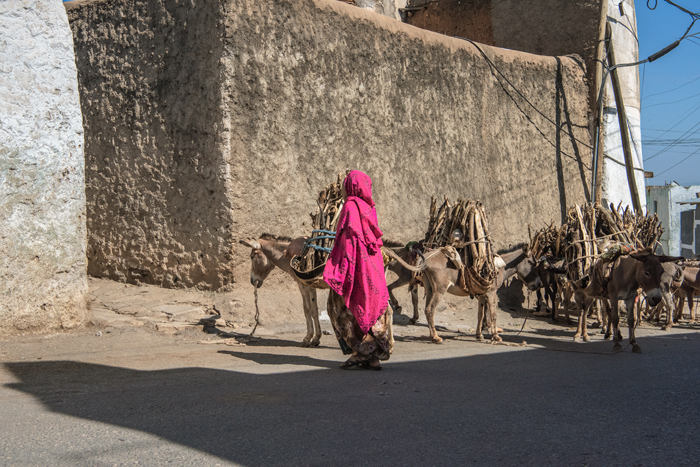 Harar 38