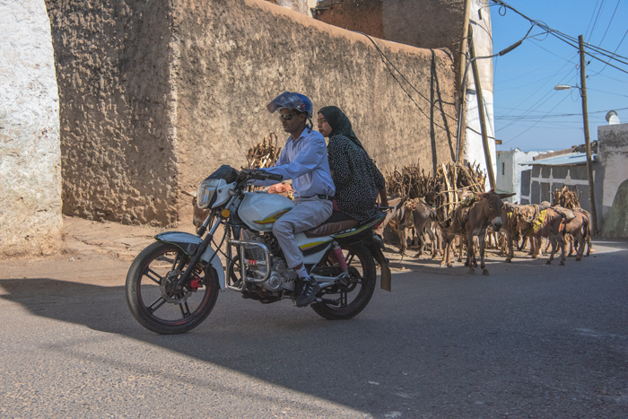 Harar 39