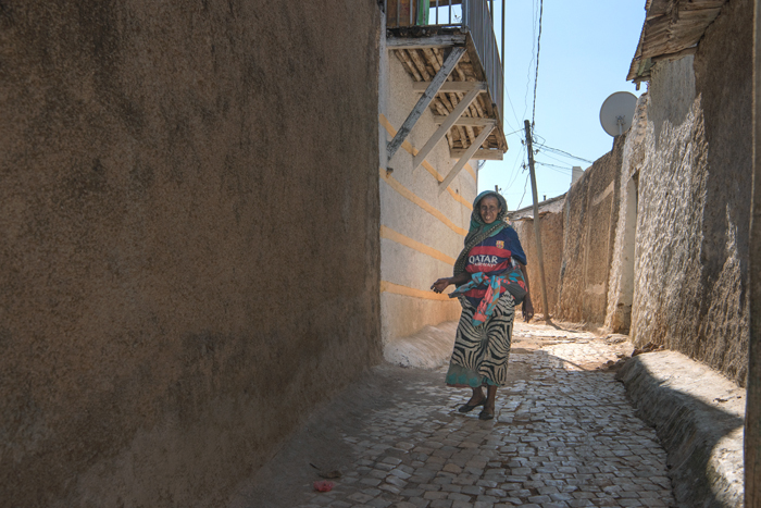 Harar 41