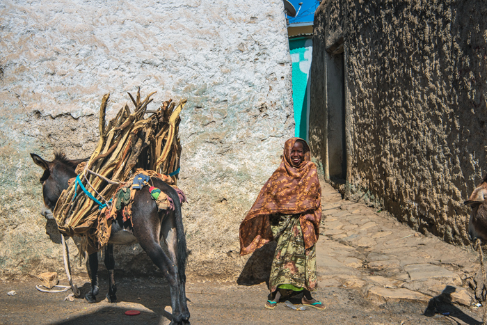 Harar 42