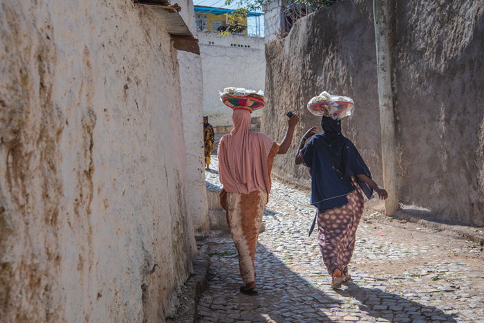 Harar 46