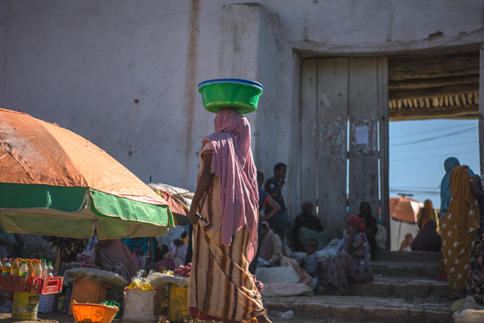 Harar 49