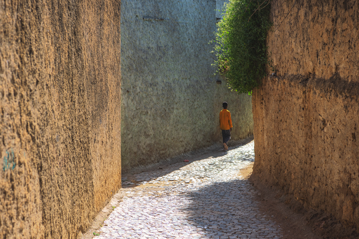 Harar 54