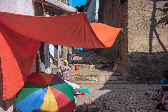 Harar 55