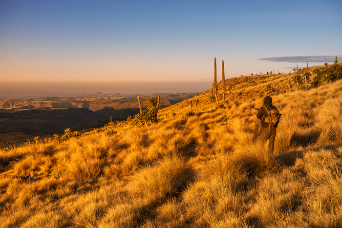 Simien 03