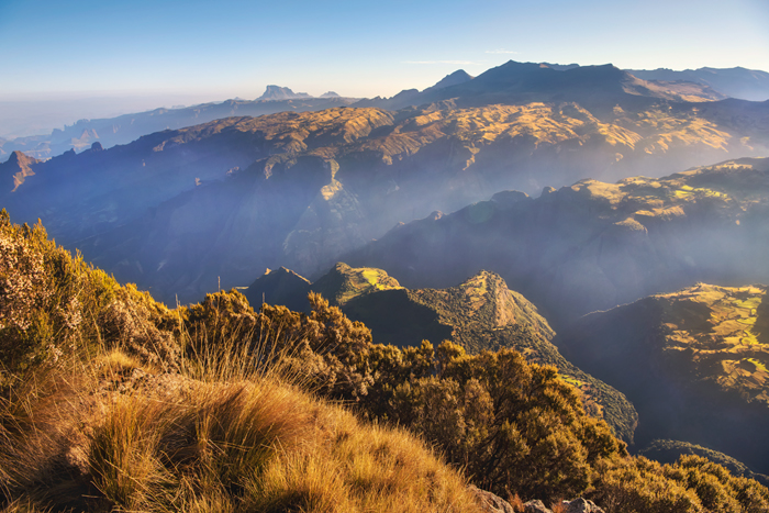 Simien 09
