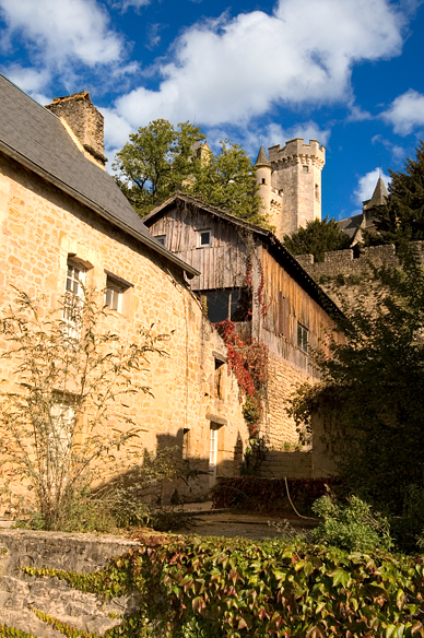 Montfort Castle, Montfort
