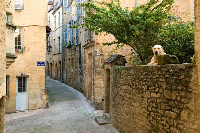 Alley, Sarlat 03