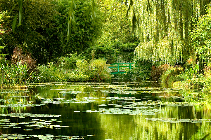 Monet Garden, Lily Pond, Giverny