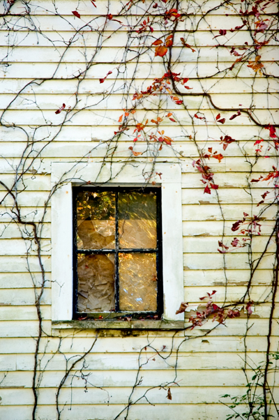 Dunstable, MA 16