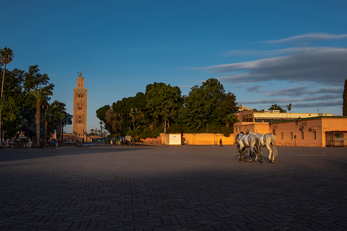 Marrakesh 03