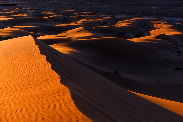 Merzouga 05