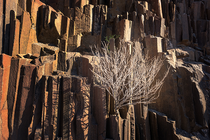 Damaraland 01
