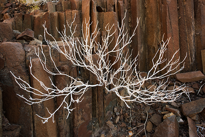 Damaraland 02  