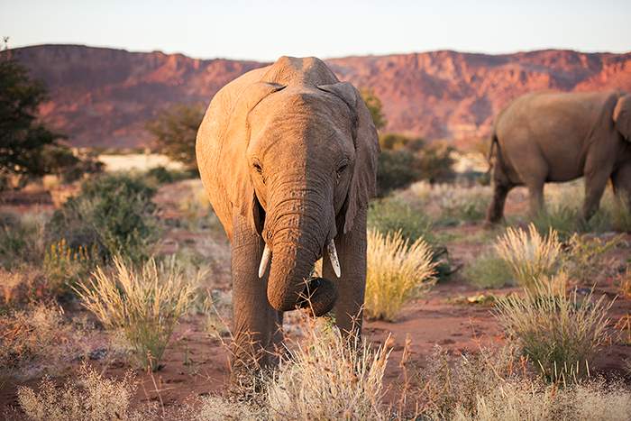 Damaraland 06