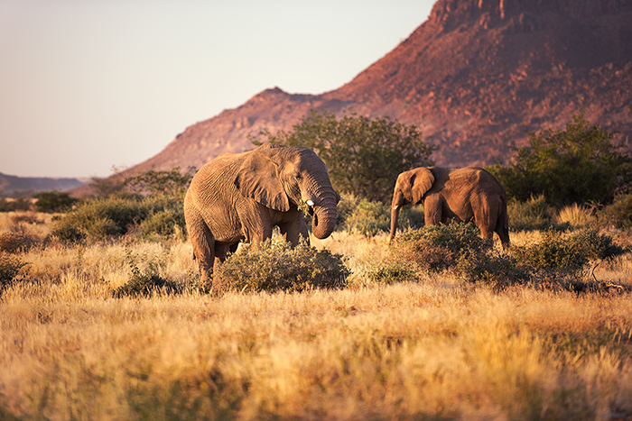 Damaraland 09