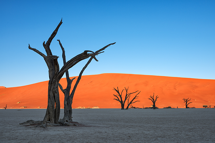 Sossusvlei Sesriem 05  