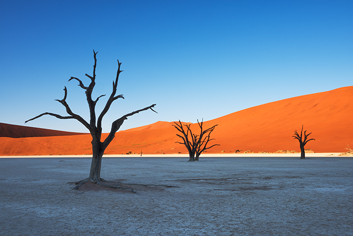 Sossusvlei Sesriem 07