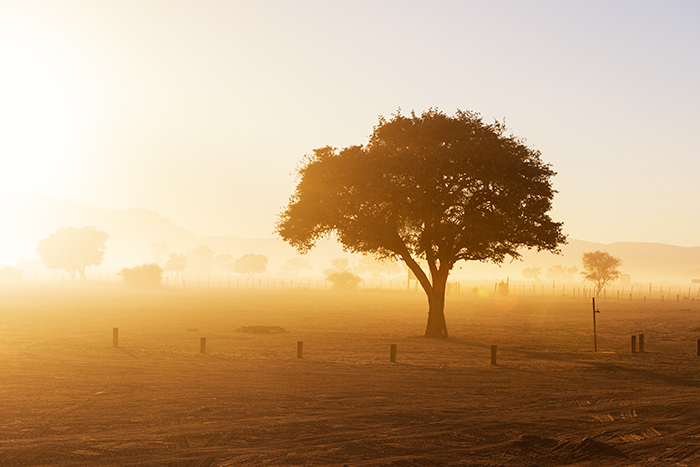 Sossusvlei Sesriem 15