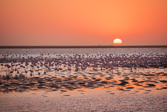 Walvis Bay  