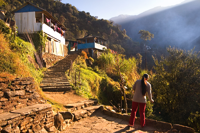 Terrace, Sinuwa,  Annapurna Base Camp, Nepal