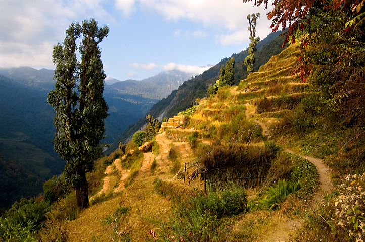 Terrace,  Annapurna Base Camp, Nepal 01