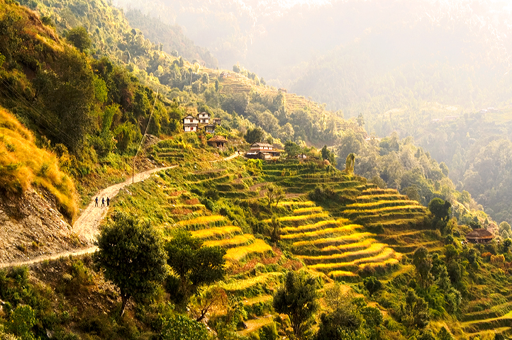 Terrace,  Annapurna Base Camp, Nepal 05
