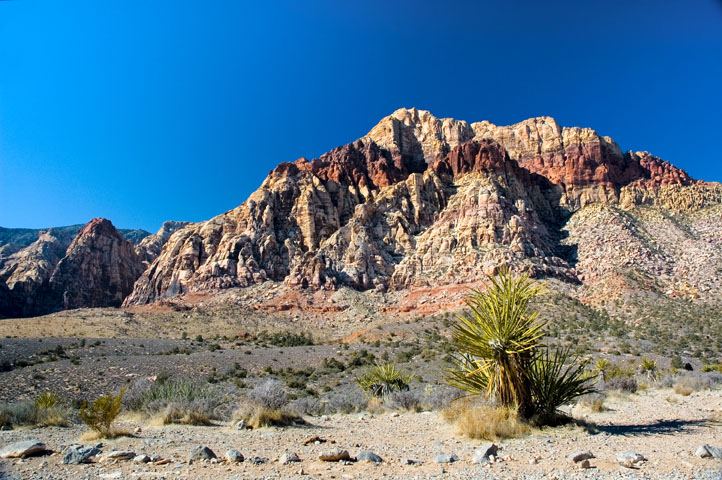 Pine Creek Canyon, Red Rock Canyon 02