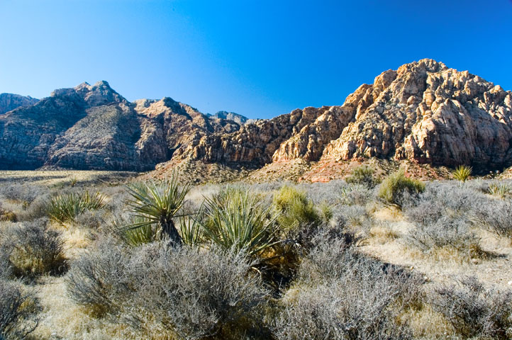 White Rock, Keystone Thrust, Red Rock Canyon 02