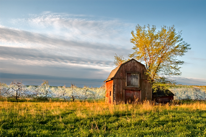 Woodmont Apple Orchard, Hollis, NH 10  