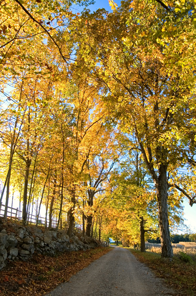 Farm Road, Hollis, NH