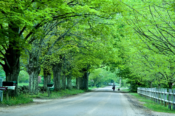 Road, Hollis, NH 02