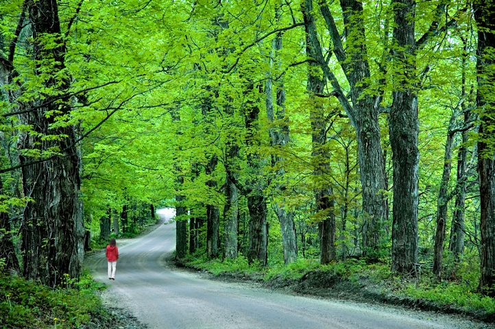 Road, Hollis, NH 05