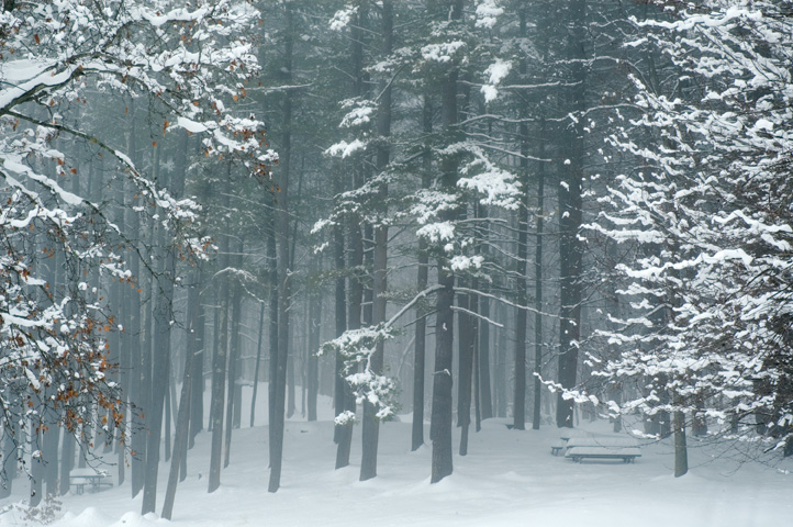 Silver Lake State Park, Hollis, NH