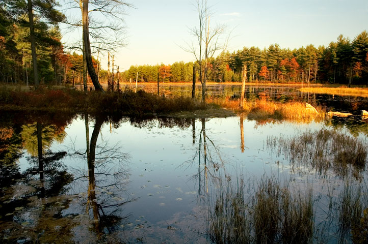 Wildlife Pond, Beaver Brook, Hollis, NH 04